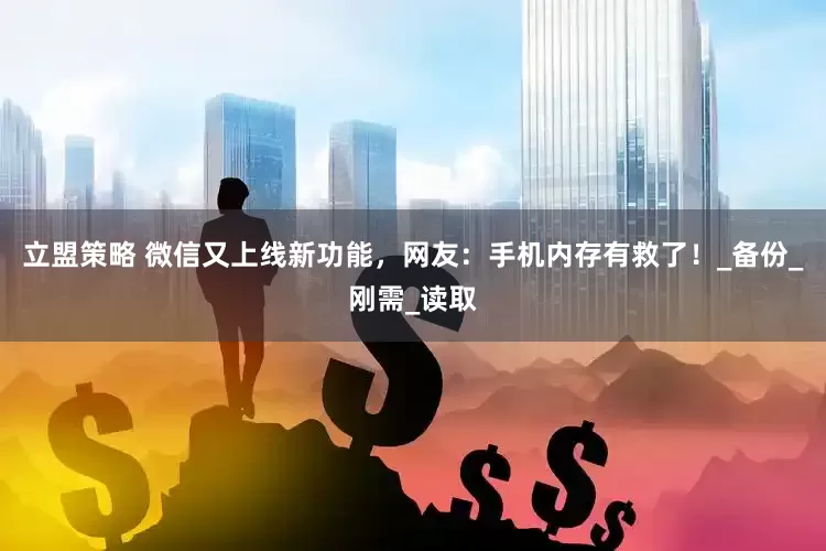 立盟策略 微信又上线新功能，网友：手机内存有救了！_备份_刚需_读取