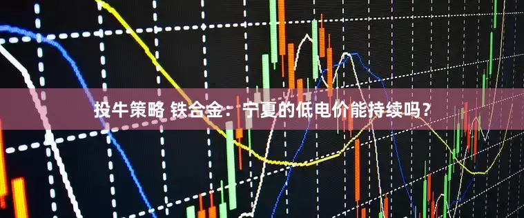 投牛策略 铁合金：宁夏的低电价能持续吗？